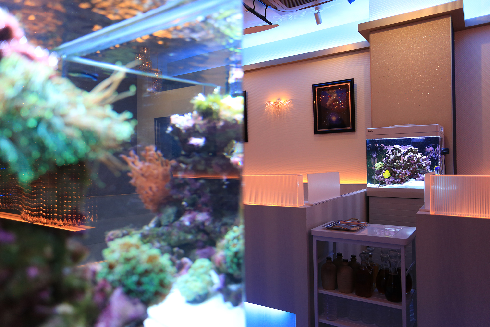 CRYSTAL SCENE（クリスタルシーン）