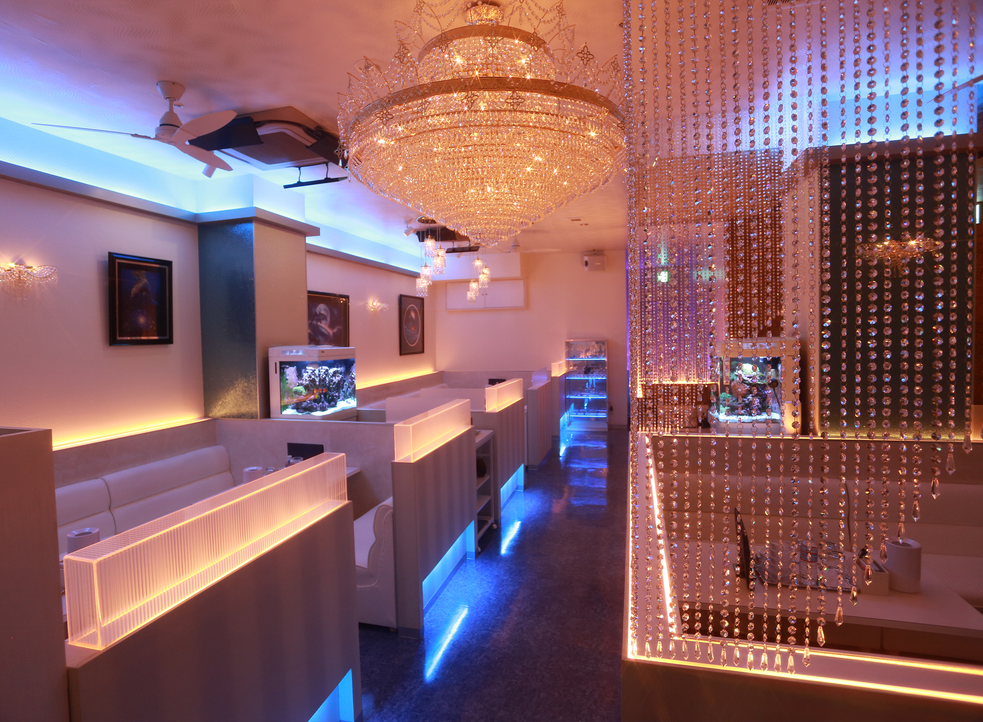 CRYSTAL SCENE（クリスタルシーン）